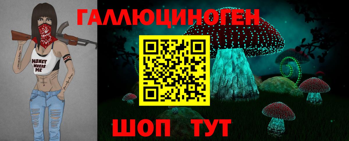 сколько стоит  Псилоцибиновые грибы мухоморы  Вход с VPN  Моздок 